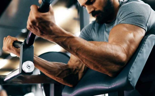 Scopri i benefici della bordebolina: lo steroide anabolico ideale per guadagnare massa muscolare